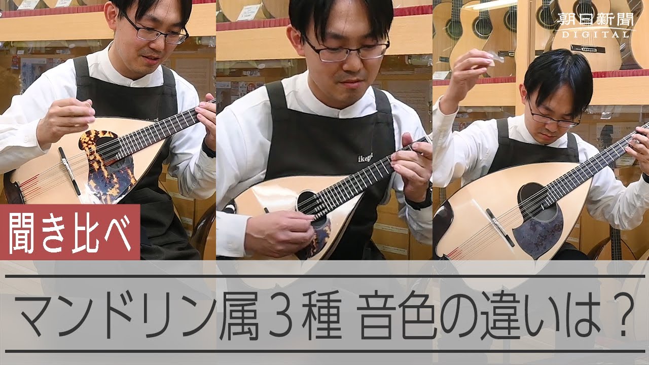 マンドリン、マンドラ、マンドロンチェロ　音色を聞き比べ