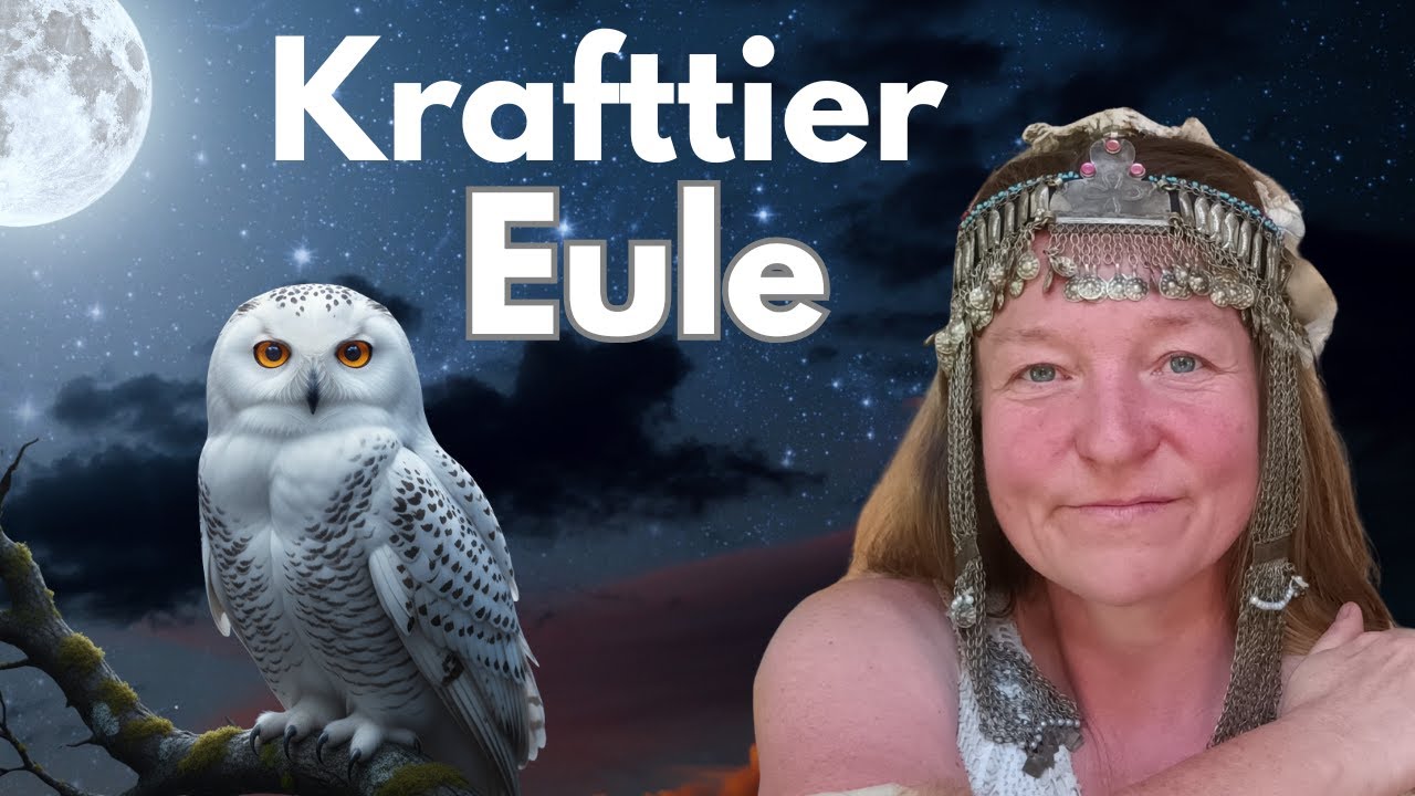 Krafttier Eule: Schamanisches Ritual wie du Weisheit in dein Leben bringst