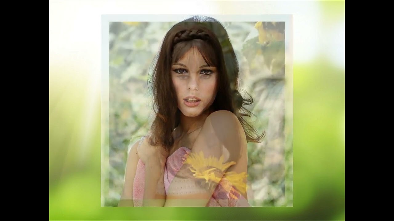 Movie Legends - Stefania Sandrelli (Reprise)