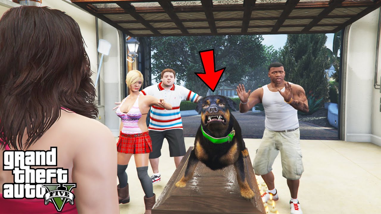 I Respawn Chop After Final Mission in GTA 5