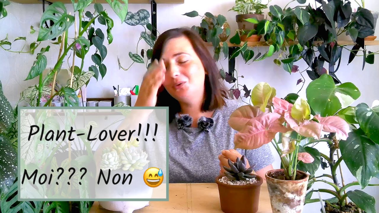 POURQUOI ET COMMENT JE SUIS DEVENUE UNE PLANT-LOVER/SUCCULENT-LOVER | JOURNAL D'UNE PLANTE-LOVER