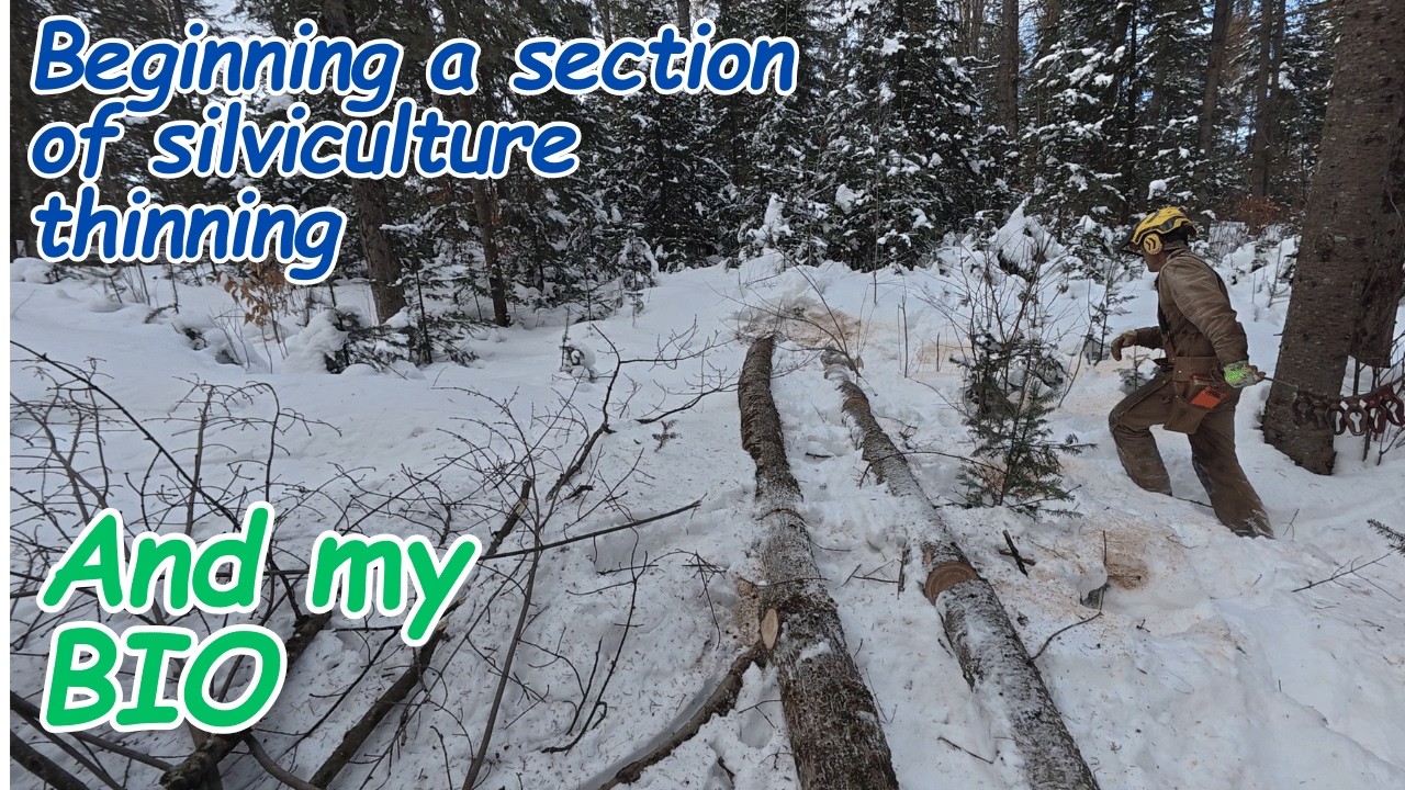 Homeowner Silviculture 2026 - part 1
