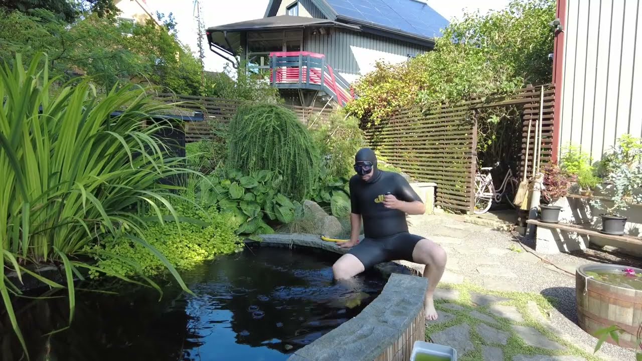 Snorkling in my koi pond!!