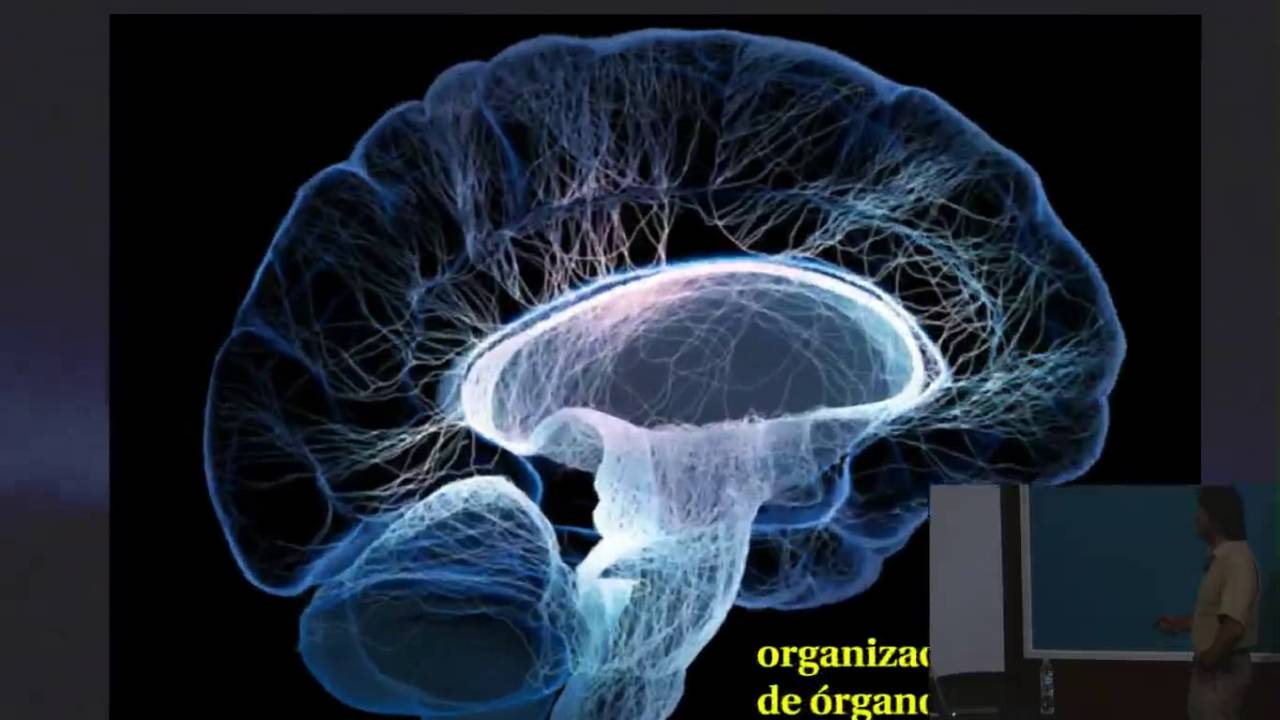 ¿Qué son los sistemas complejos?, Dr. Maximinio Aldana (Inst. de Ciencias Físicas, UNAM)