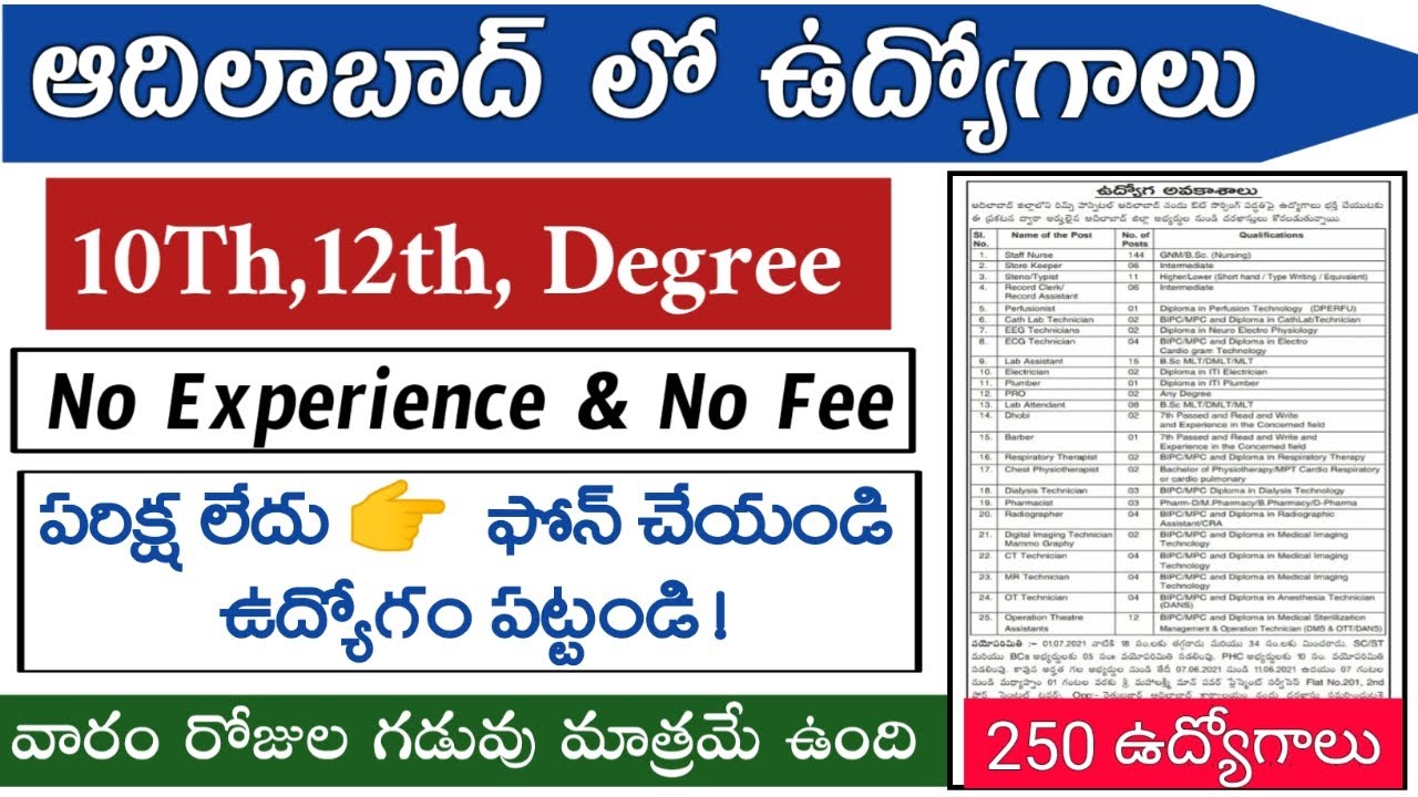 Over 250 Jobs in Adilabad District || 7th Grade, 10th, 12th, Degree | Last Date June 11 || Rims A...
