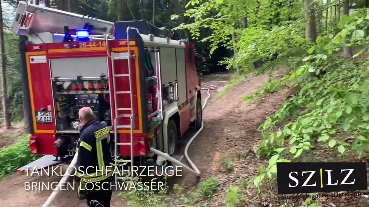 Feuer im Wald zwischen Rinteln und Steinbergen