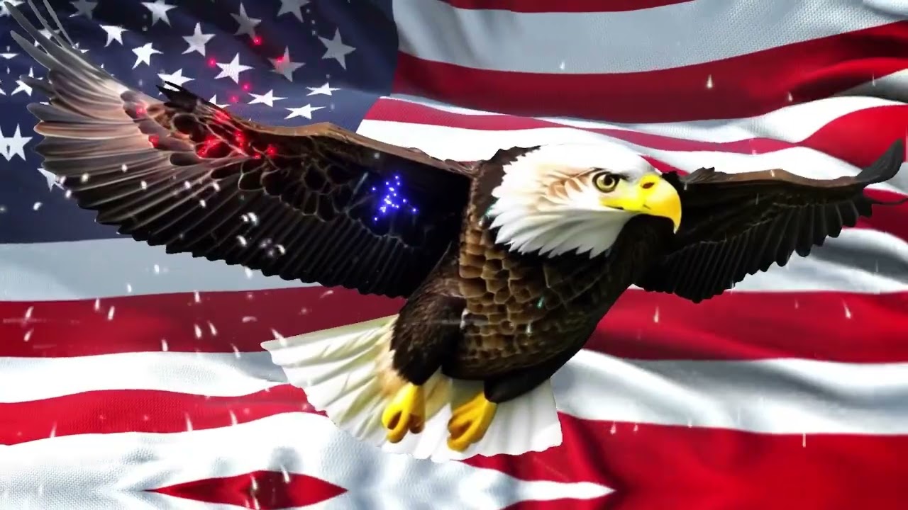 10 Hours American Bald Eagle Flag Waving July 4th Fireworks Military Bands Songs USA Patriotic Music