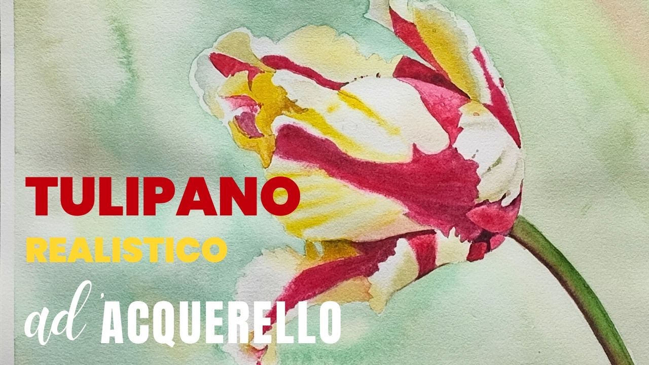 Tulipano realistico ad acquerello 🌷