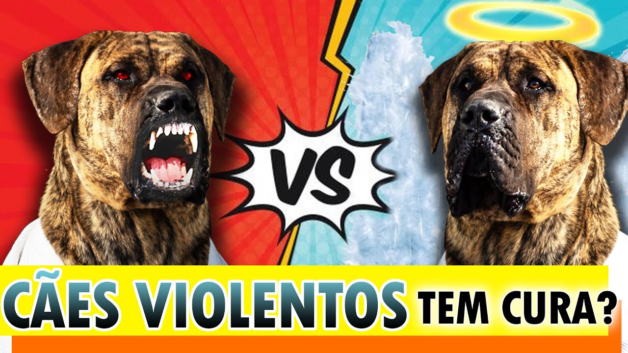 A CURA PARA C&Atilde;ES PROBLEM&Aacute;TICOS - SAGA HARU #6 - Parte 1