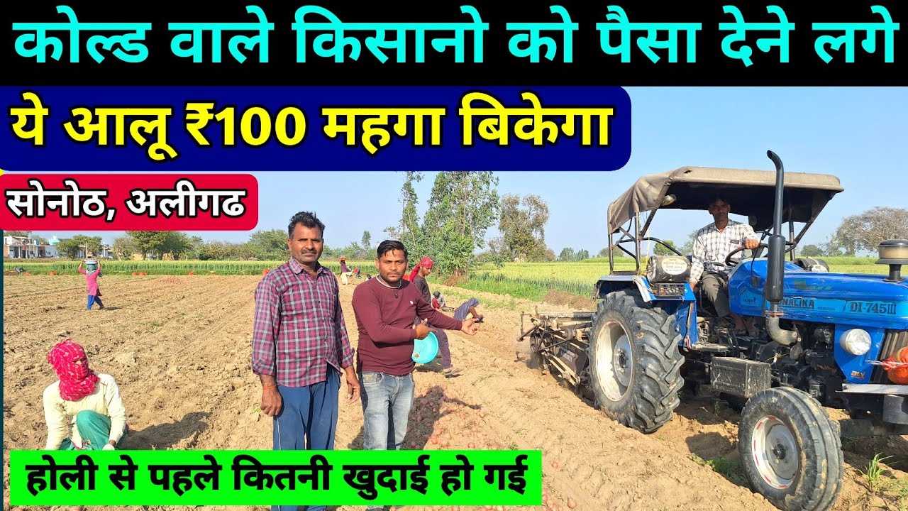 सबसे ₹100 महगा आलू बिकेगा | LR aloo ka bhav | real farmer education / aalu ki khudai 