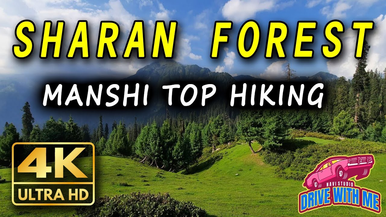 🇵🇰 | Sharan Forest | Manshi Top Hike | Paras to Manshi | KPK Tourism | Pakistan | Navi Studio 4K