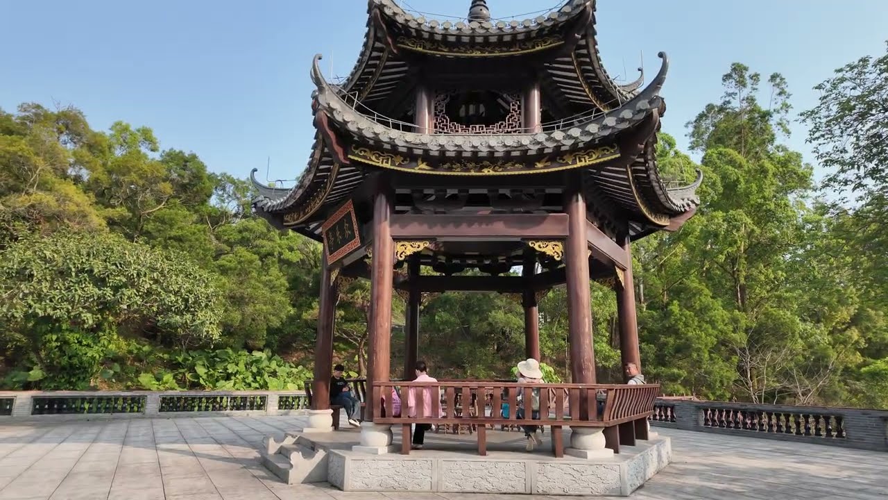 This Is The Real China! 🇨🇳 Beautiful Nature, Black Swans & Peaceful Scenery