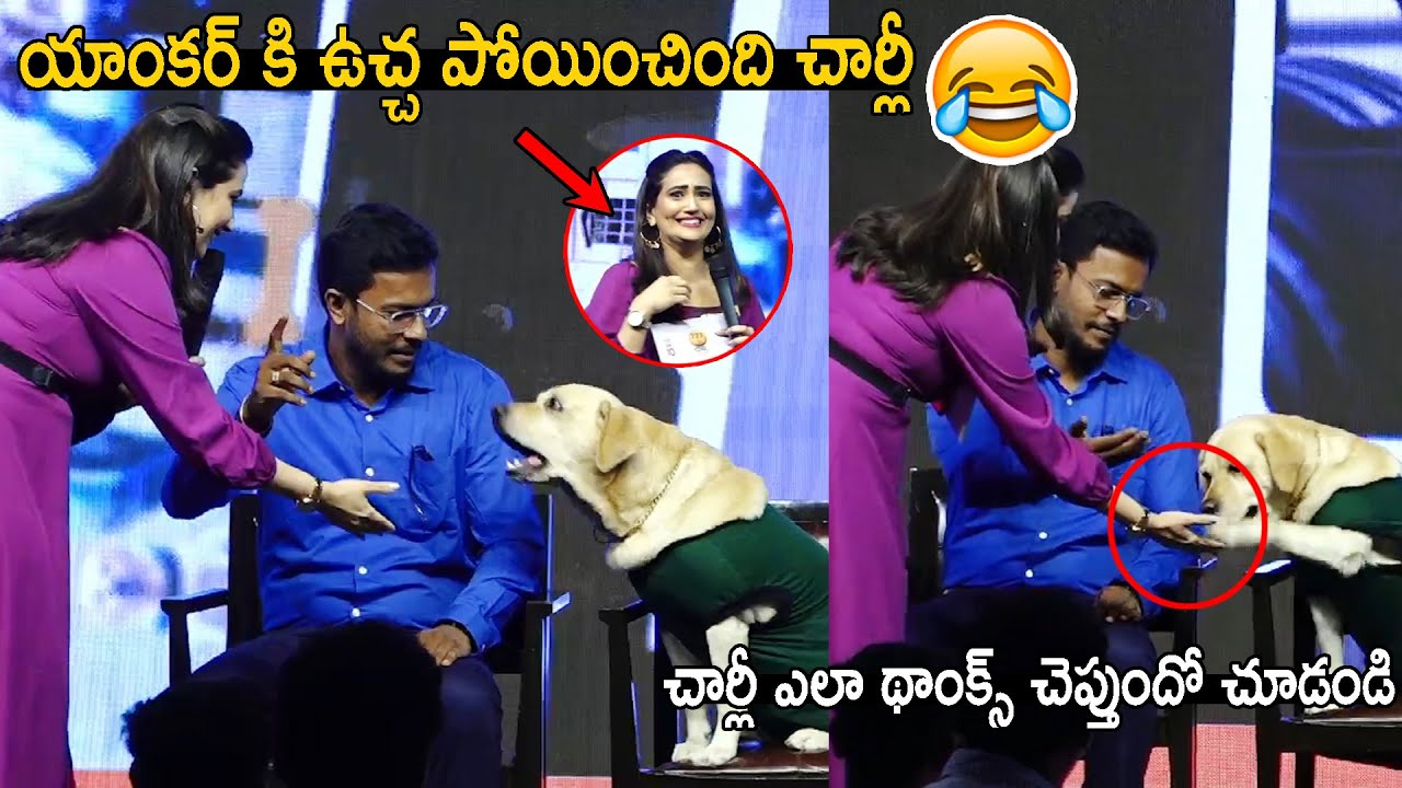 Anchor Manjusha Hilarious Moments With Dog Charlie | 777 Charlie Press Conference || Andhra culture