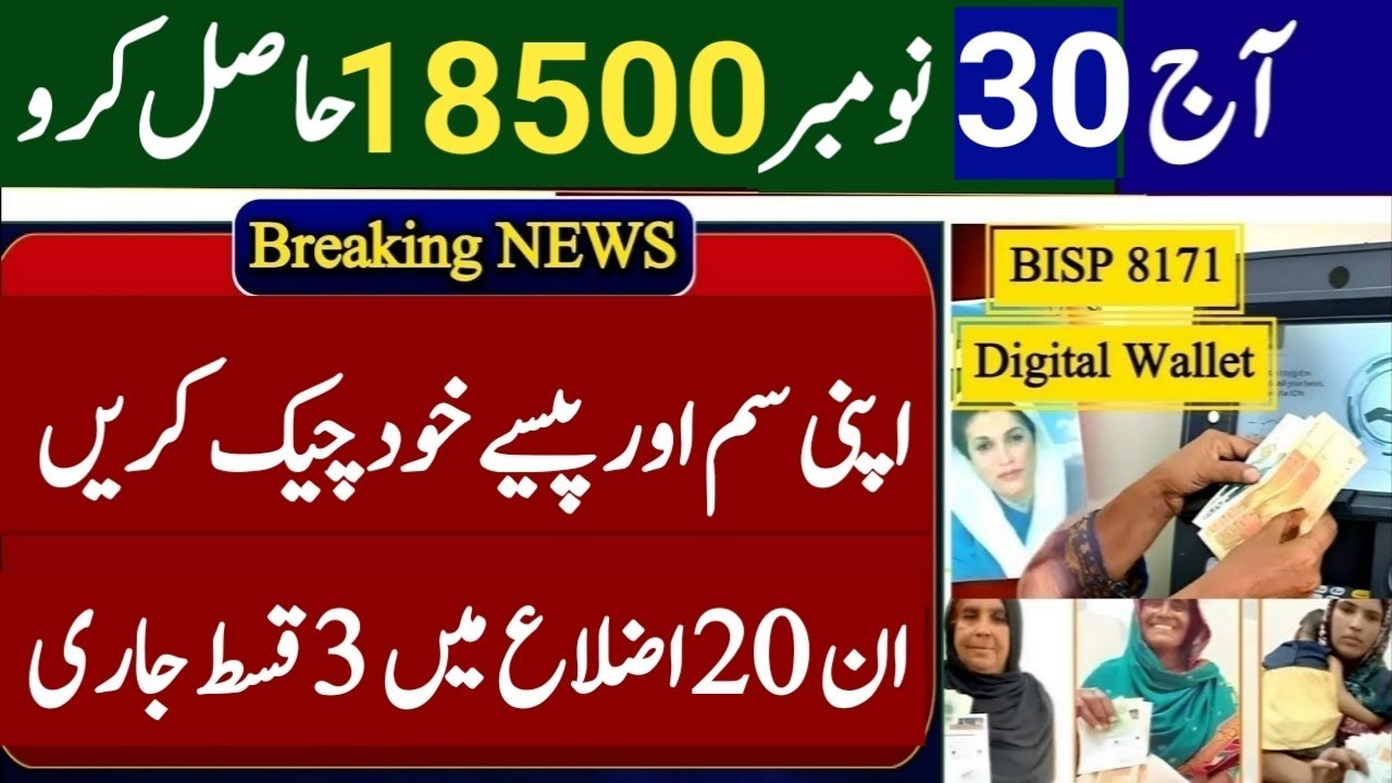 Benazir Income Support program online payment check 2025 | Bisp New Update Today | 8171 Check online