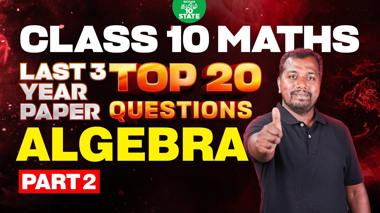 🏃 MARATHON 🔥 Top 20 questions | Ch 3 : Algebra  Part 2 | Class 10 Math | Xylem State 10 Tamil