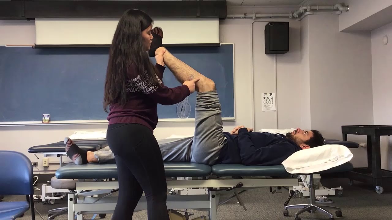Distal Hamstring Length (Popliteal Angle Test)