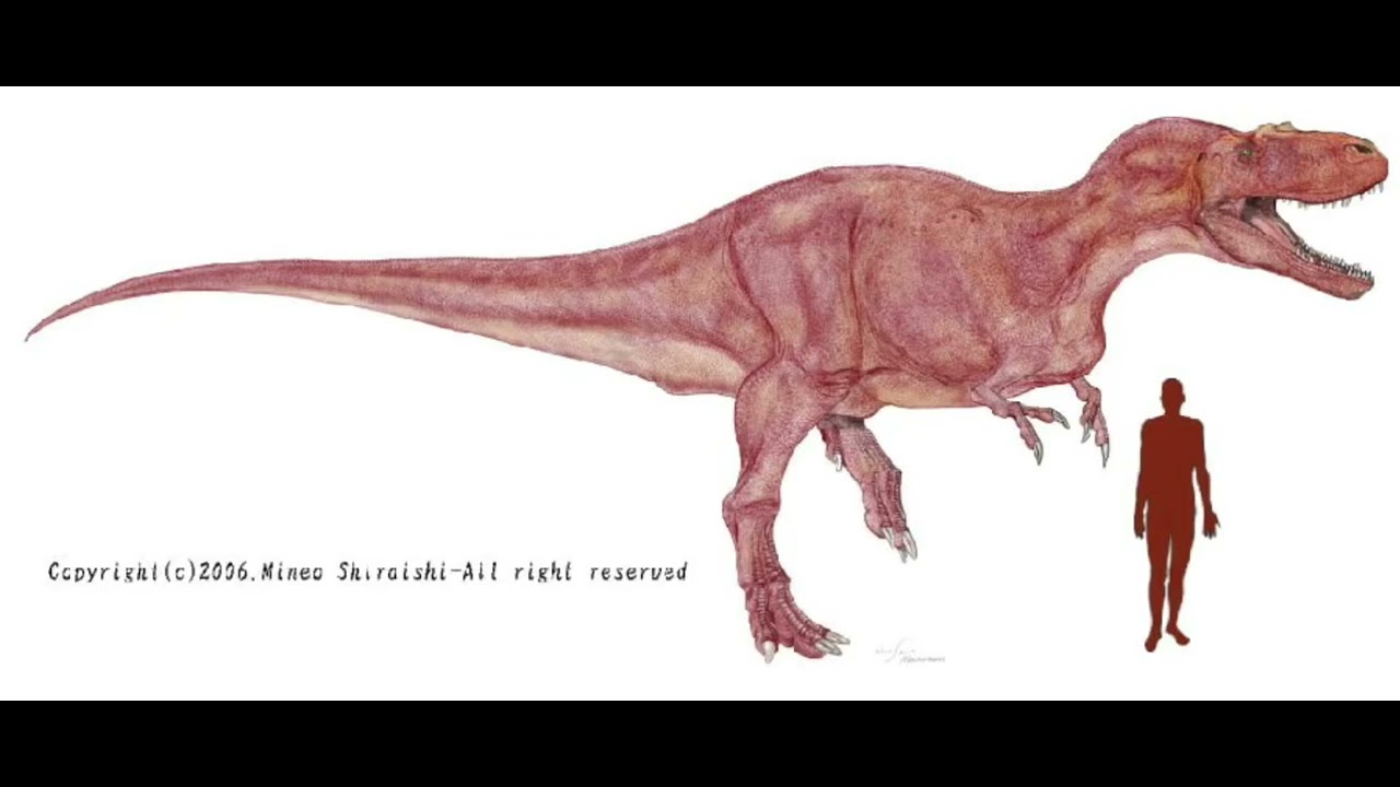 (Albertosaurus Roars (Sfx Sounds