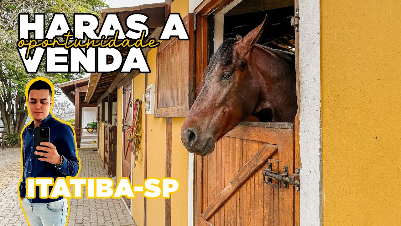 Vendido - Haras Espetacular à venda em Itatiba-SP com 6 alqueires, 19 piquetes por R$7.500.000,00