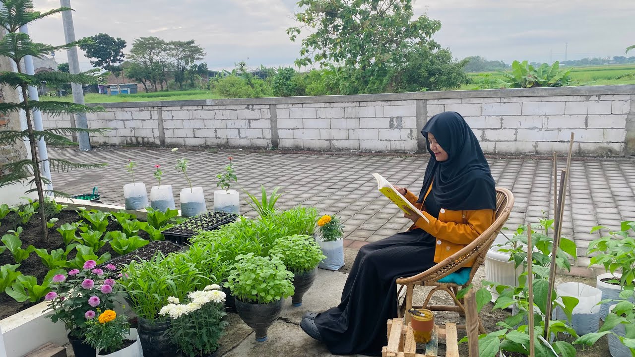 Tour Kebun Mini Di Pekarangan Rumah, (Mei 2025) Kebun Organik Impian, Berkebun Di Rumah