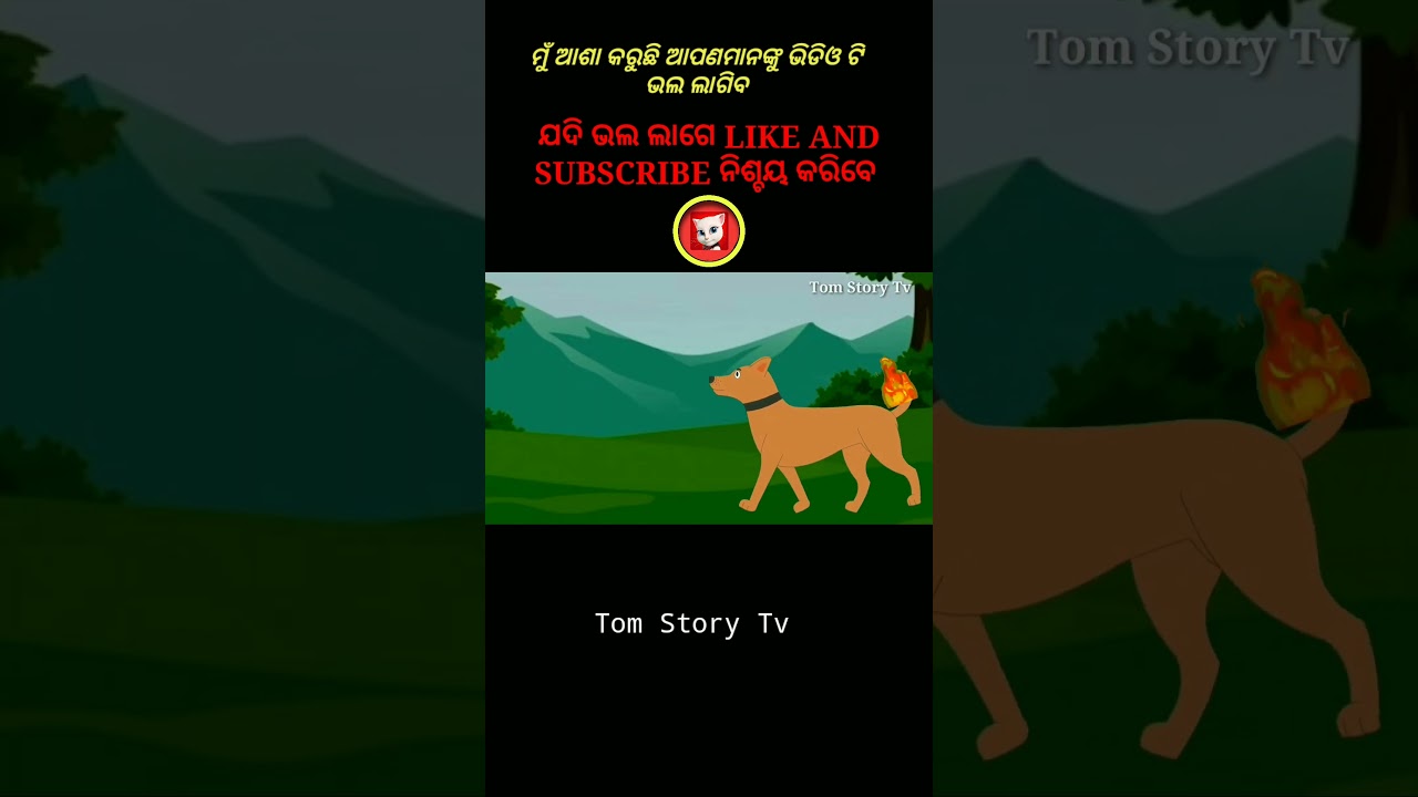Pagala kau|| odia gapa || tiki chadhei gapa || odia cartoon || odia moral story