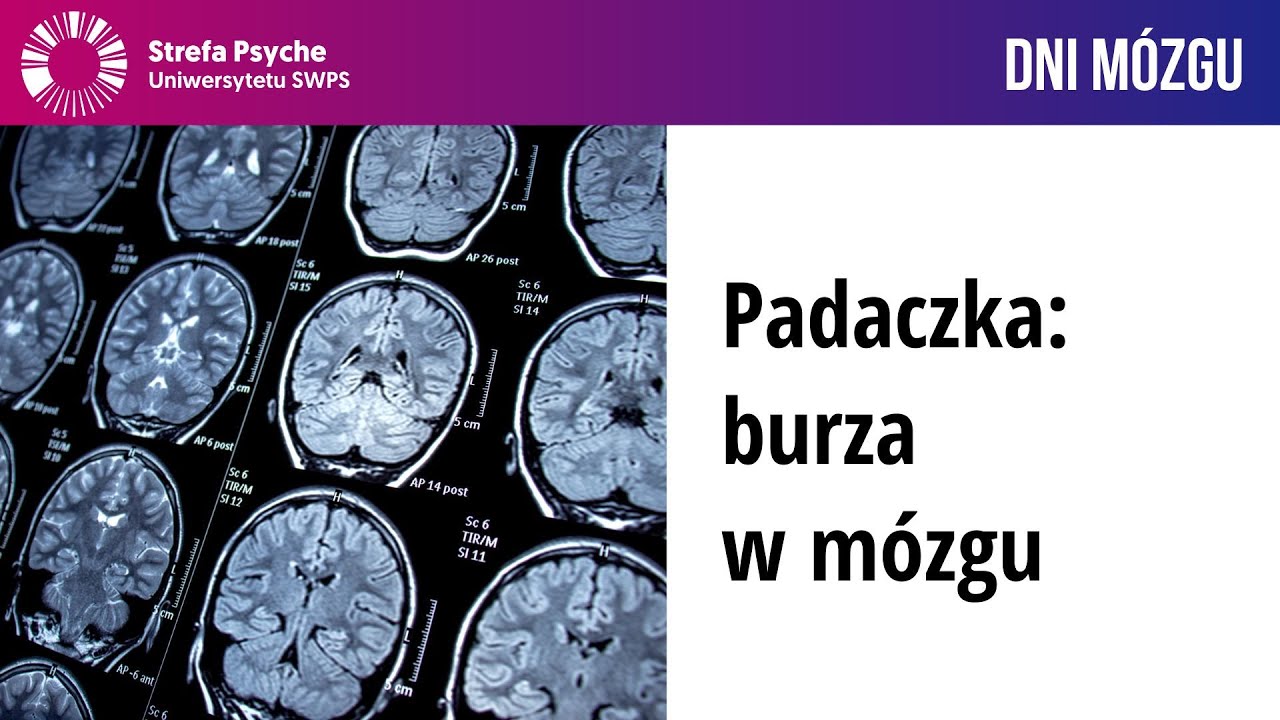 Padaczka: burza w mózgu - dr hab. Piotr Suffczyński prof. UW