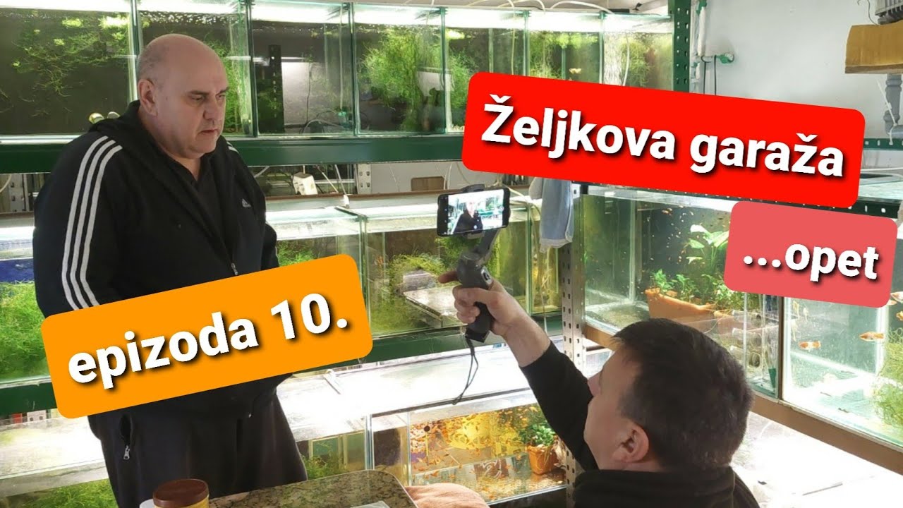 Akvarističke priče sez.4, ep.10 