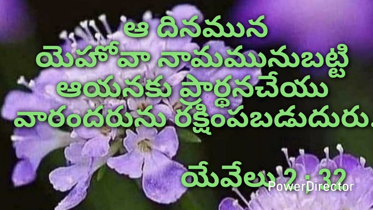 Bible words 35
