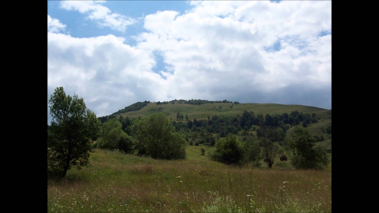 Muzica Maramures - Cate in lume eu am tras- Ion Petreus Todereanu