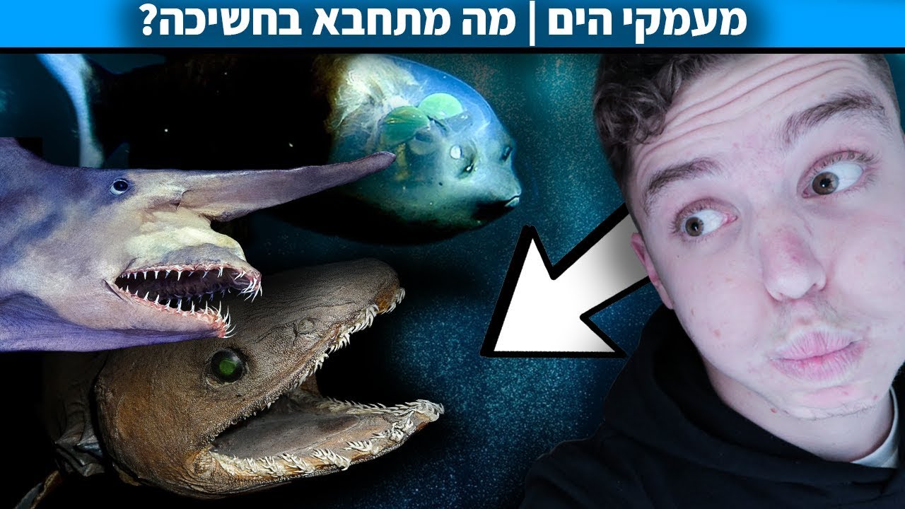 מה מתחבא במקום הנמוך ביותר בעולם? (שקע מריאנה)