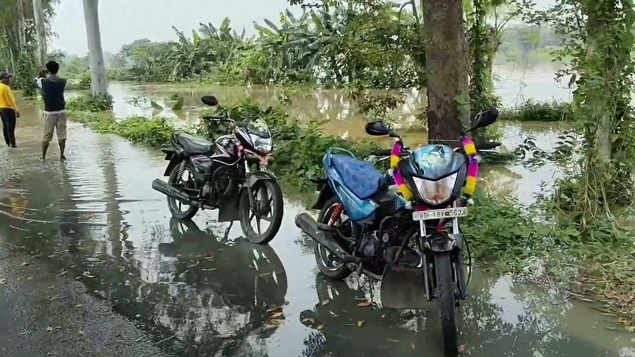Massive Flood Hits Pursurah & Arambagh: DVC Water Release Causes Devastation|West Bengal Floods 2024