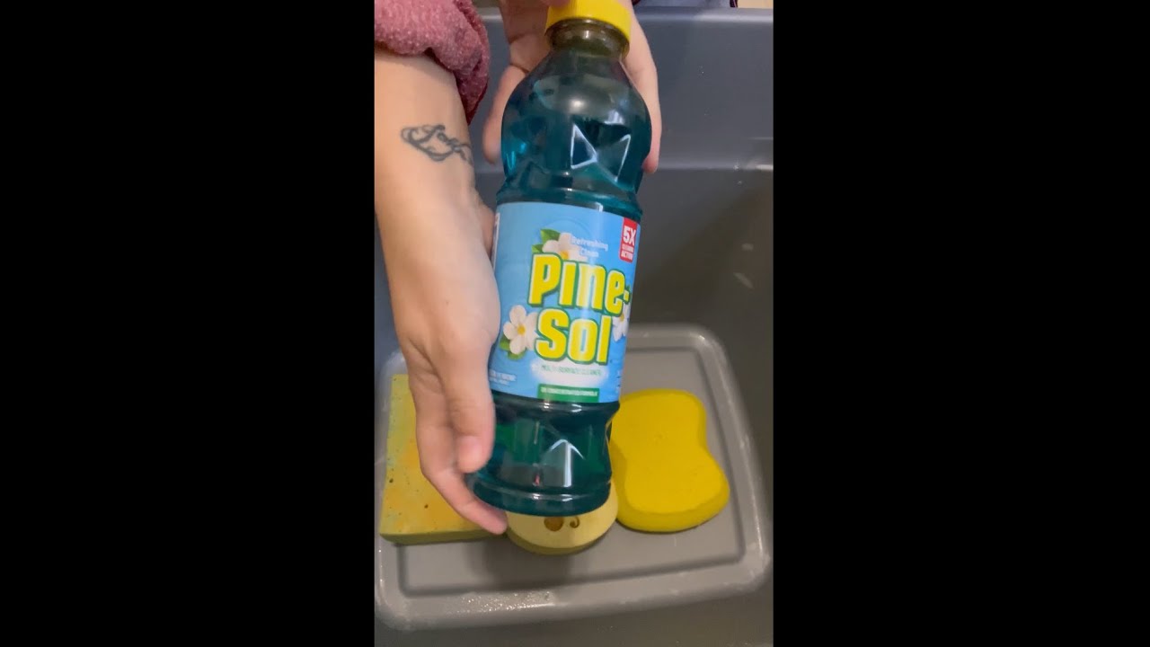 Blue Pine Sol squeezes AND a satisfying rinse | Sponge #ASMR | #oddlysatisfying 