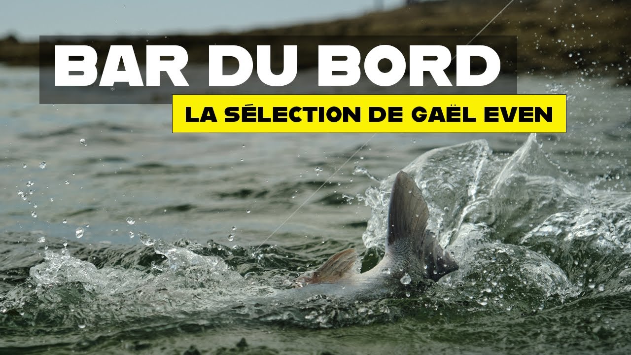 6 leurres pour pêcher le bar depuis le bord en été