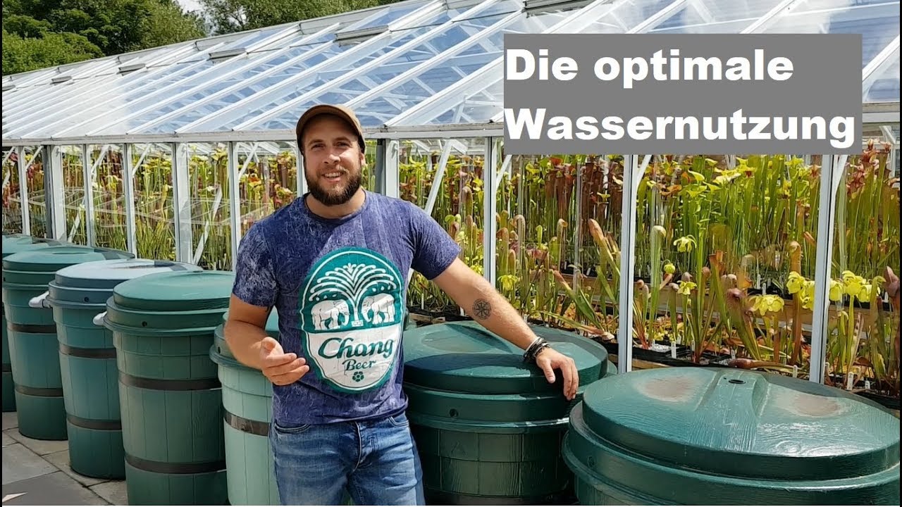 #22 Regenwassersystem von Mike King | Fleischfressende Pflanzen | Karnivoren | Green Jaws