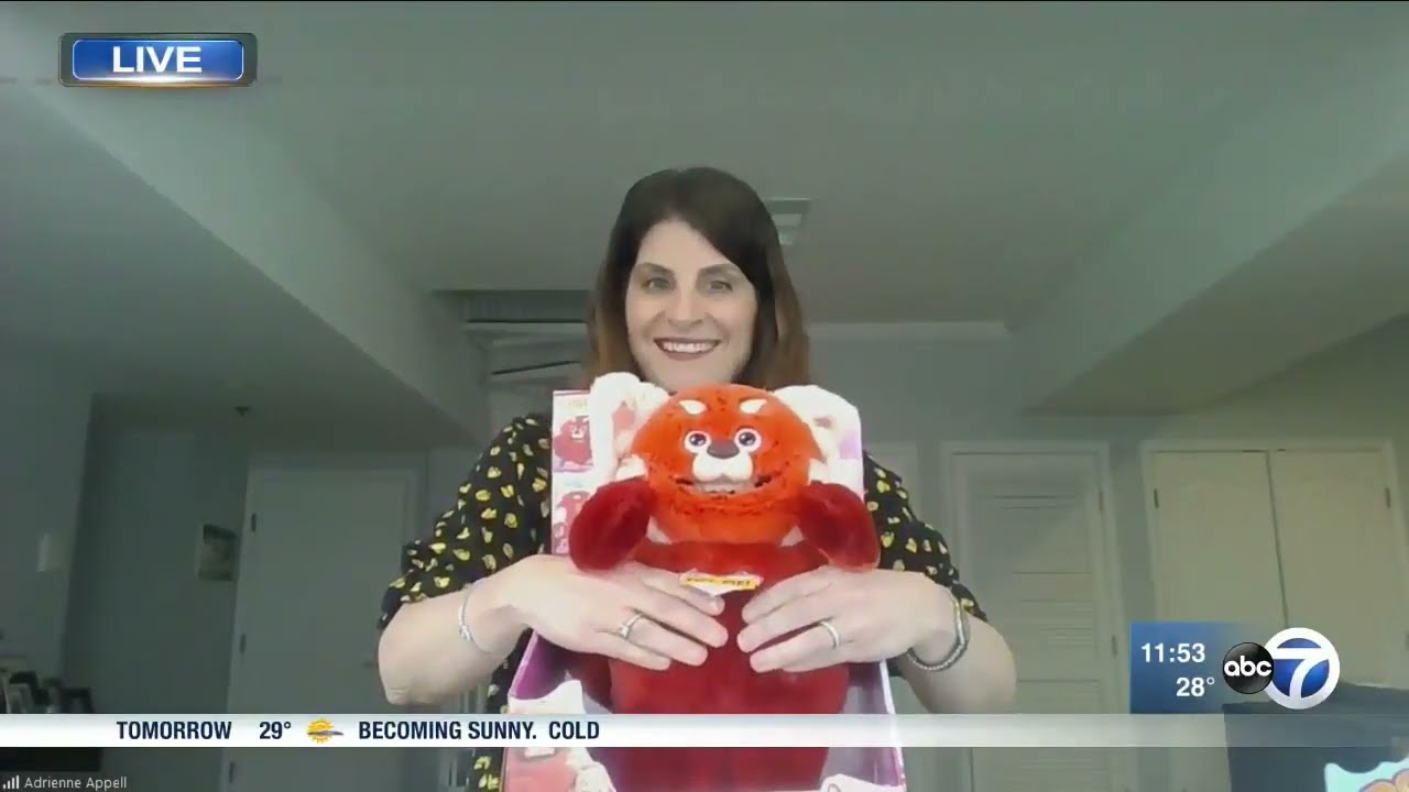 New 2022 Toys on ABC7 Chicago | The Toy Association