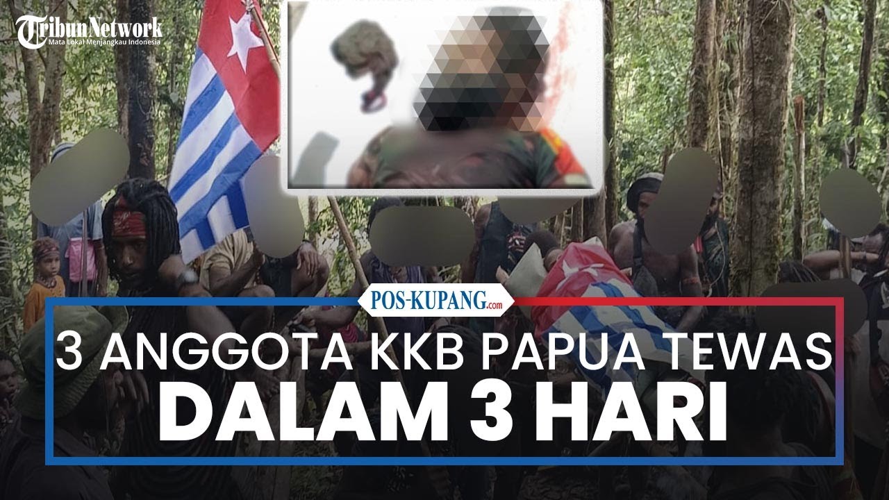 Tiga Anggota KKB Papua Tewas dalam 3 Hari