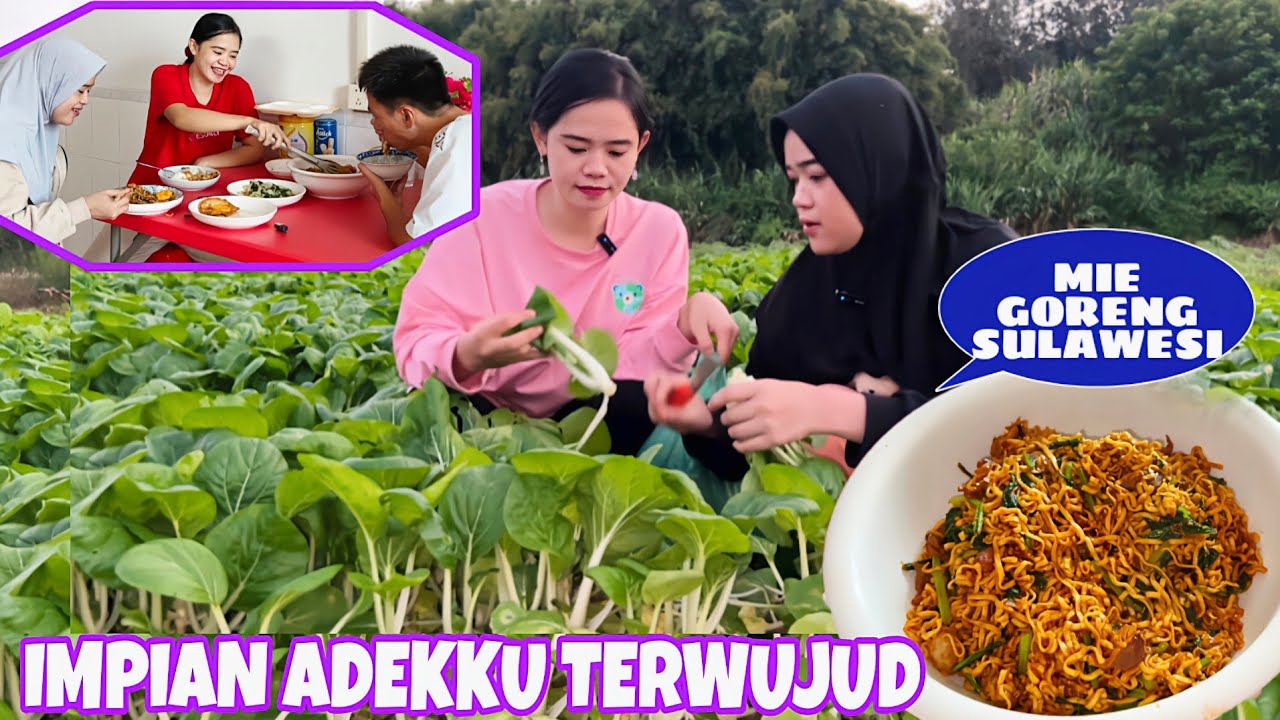 BAWA ADEKKU PANEN SAYURAN DI CHINA LALU MASAK BARENG MIE GORENG SULAWESI