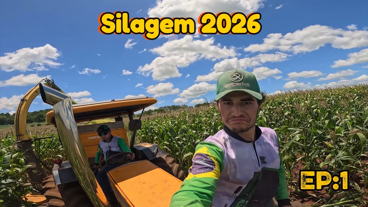 COMEÇAMO A SILAGEM DO PAULÃO botando pressão 🇧🇷