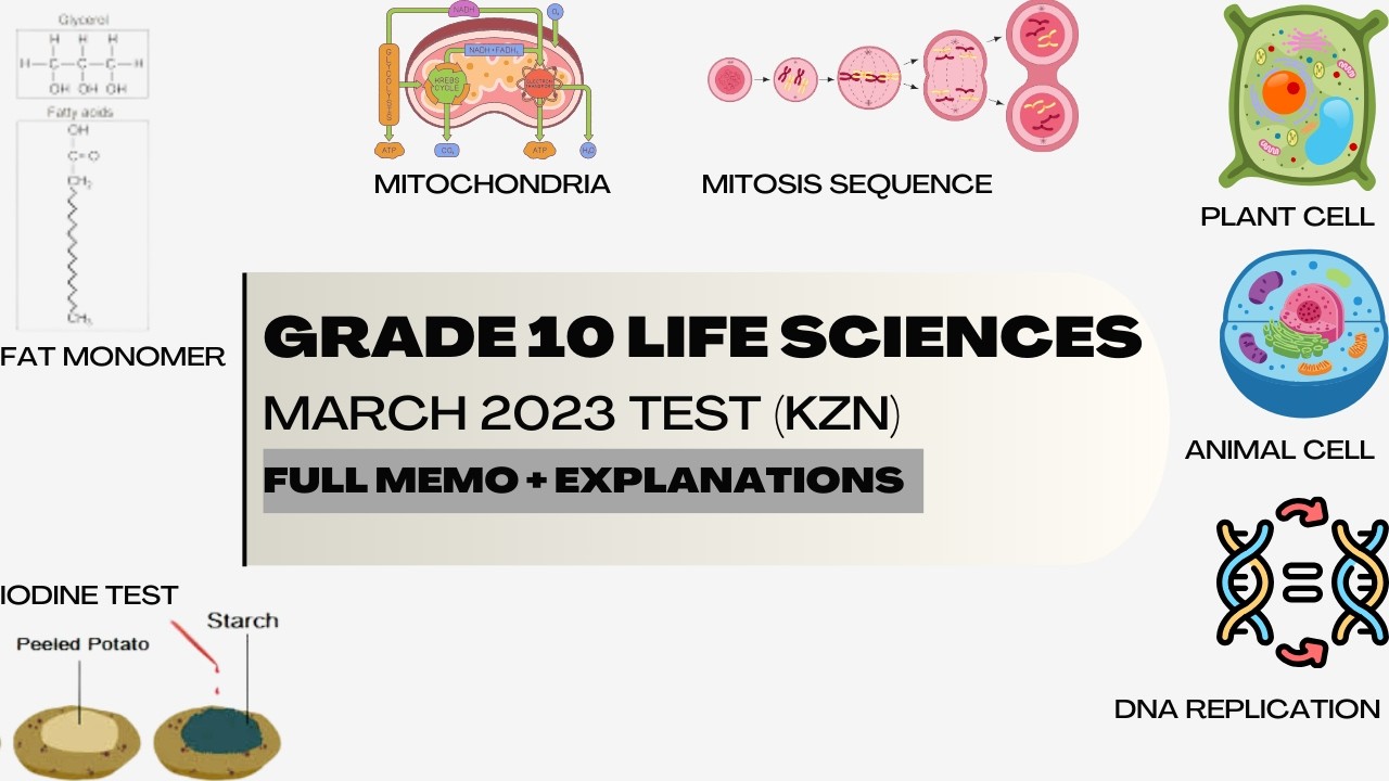 Grade 10 Life Sciences March Common Test 2023 | Past Paper Questions & Answers
