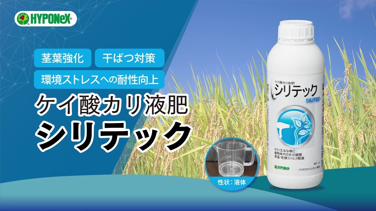 ケイ酸カリ液肥 シリテック