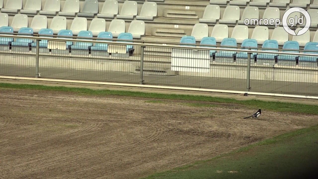 Nieuwe grasmat op De Vijverberg