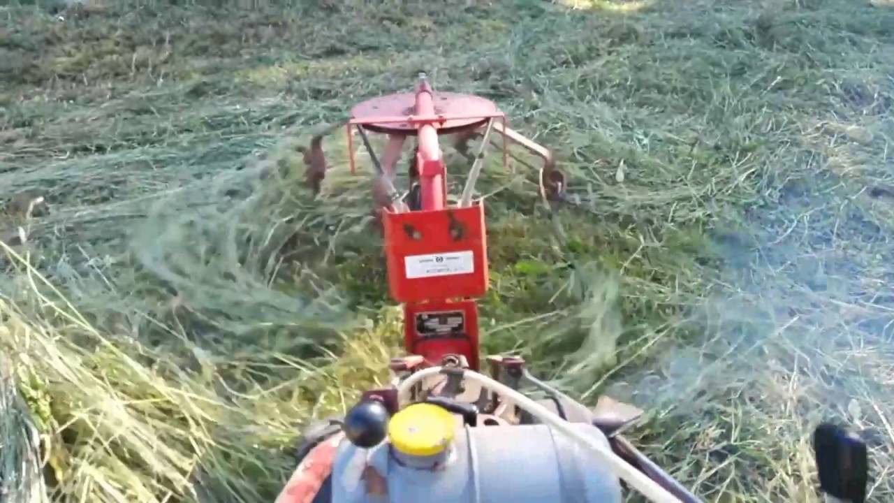 MF 70 Rotary hay rake