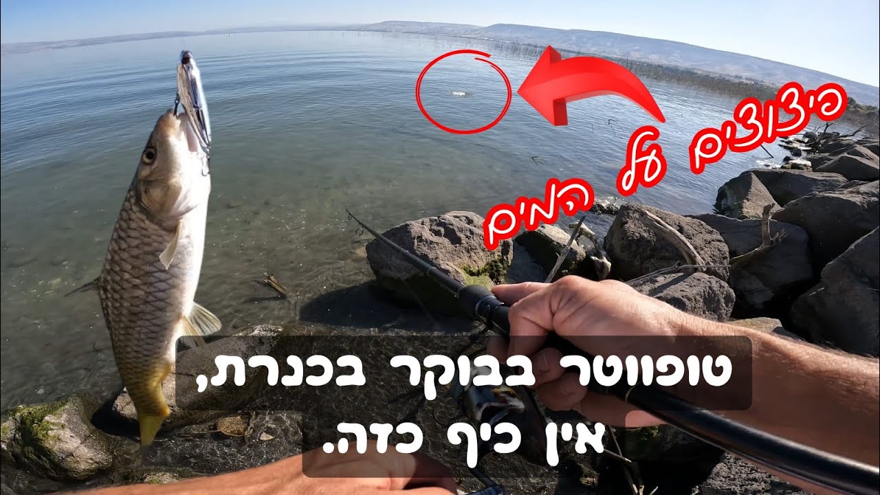התקיפות, הפיצוצים, והאדרנלין – דייג טופווטר כמו שחלמתי בלילה ככה היה בבוקר 🤩