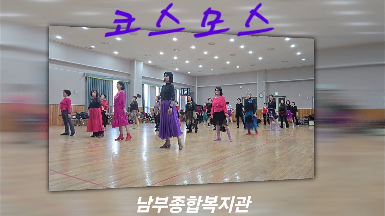 코스모스~Beginner