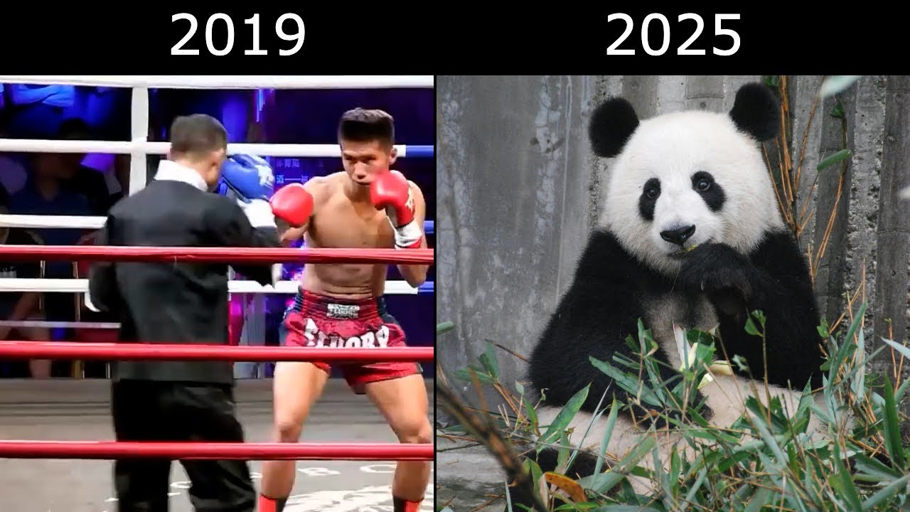 He Took On Fake Kungfu Masters Then His Social Media Disappeared