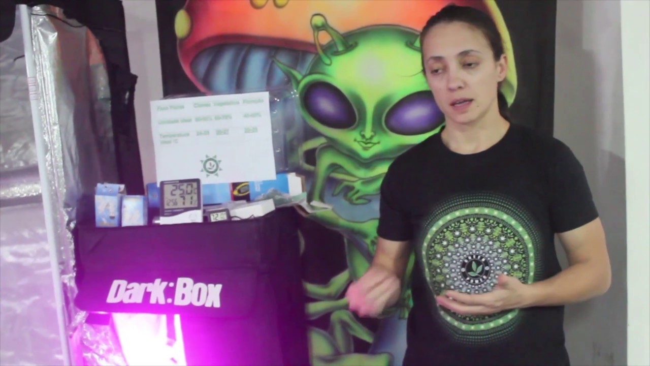 Dicas para controlar a umidade e evitar prejuizos ao Cultivo Indoor Grow Green Power