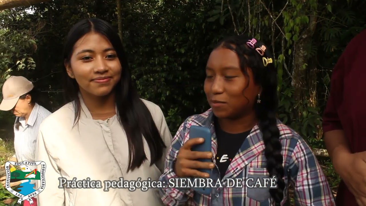 SIEMBRA DE CAFE