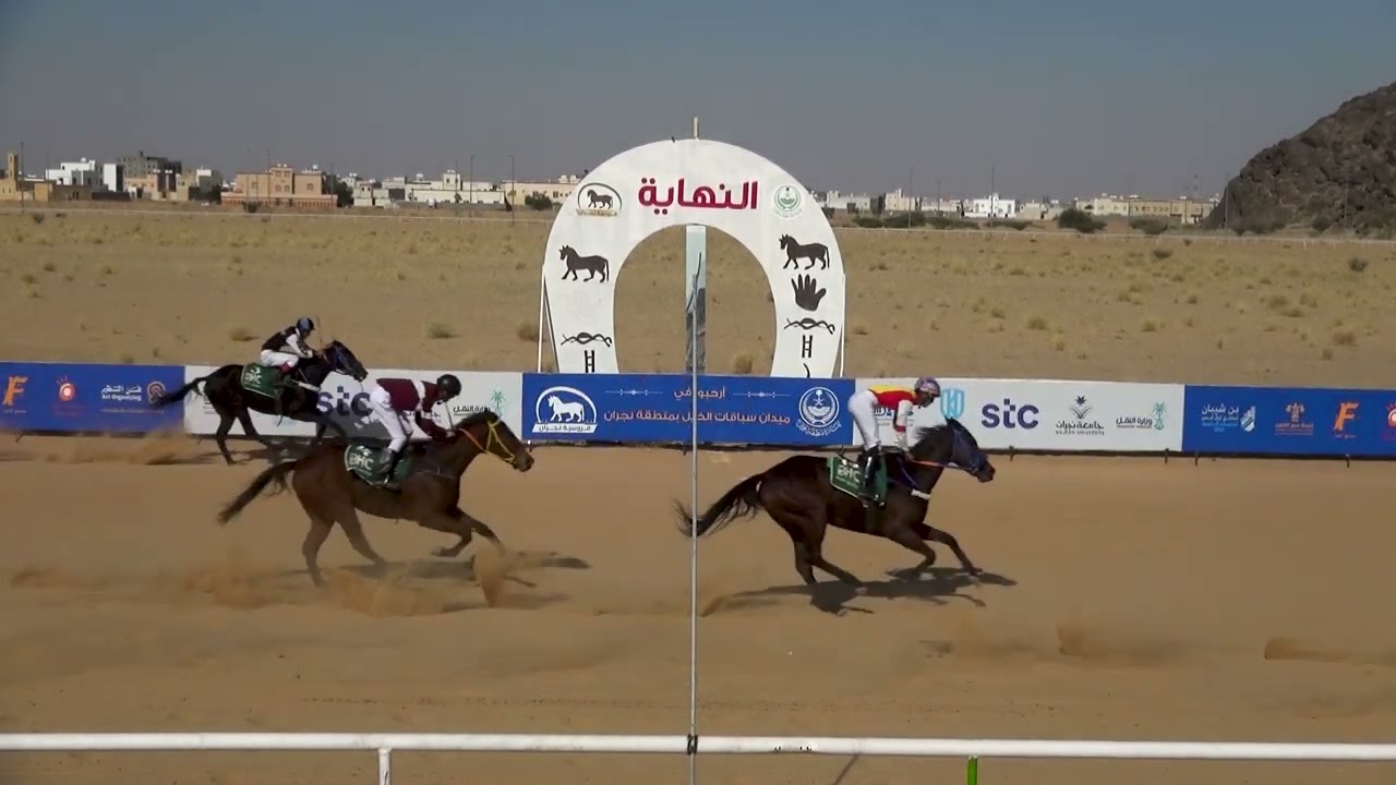 الشوط 1 بالحفل السادس عشر يوم الاحد 22-7-1447هـ
