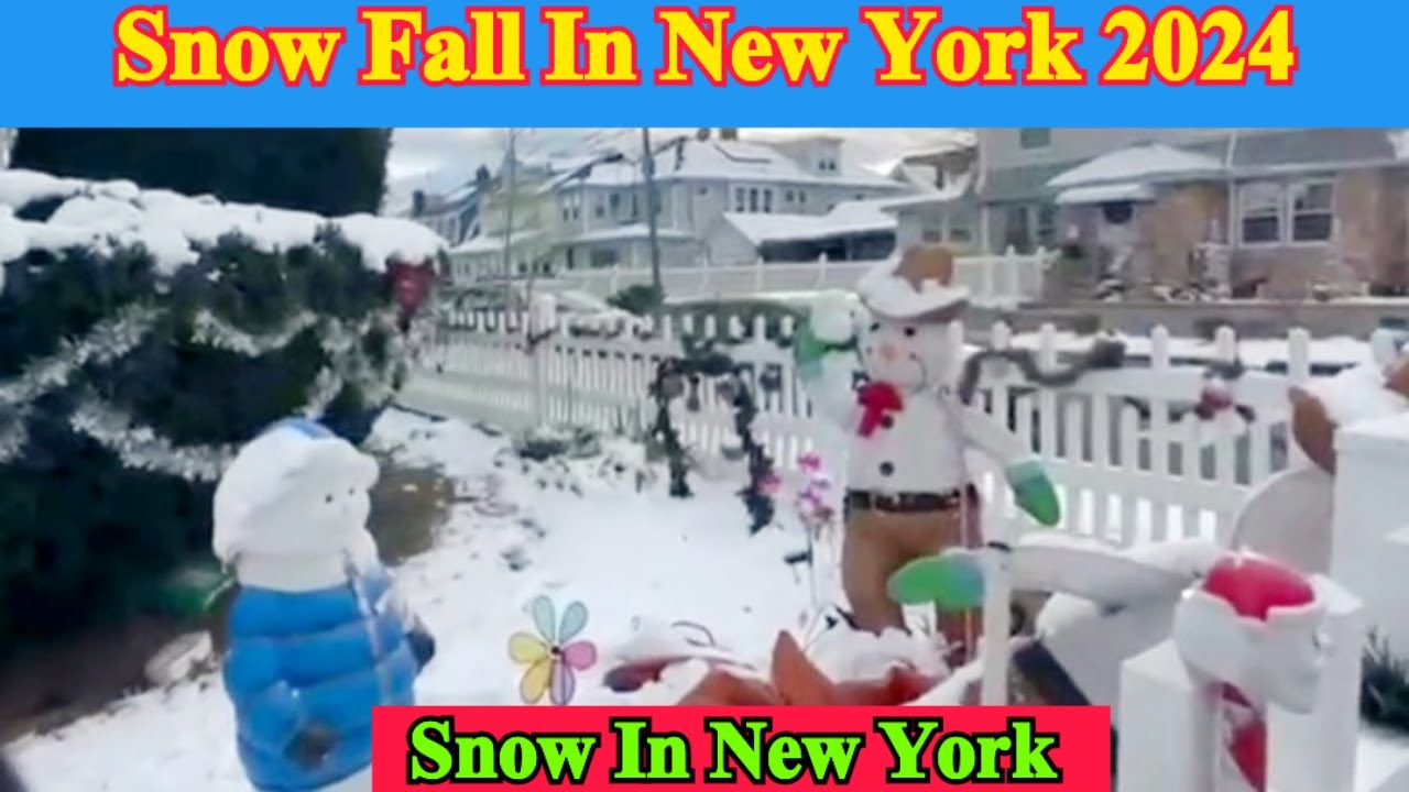 Snow Fall In New york 2024 || Snow In New York || Coldest Day In New York || H Zaidi Vlogs