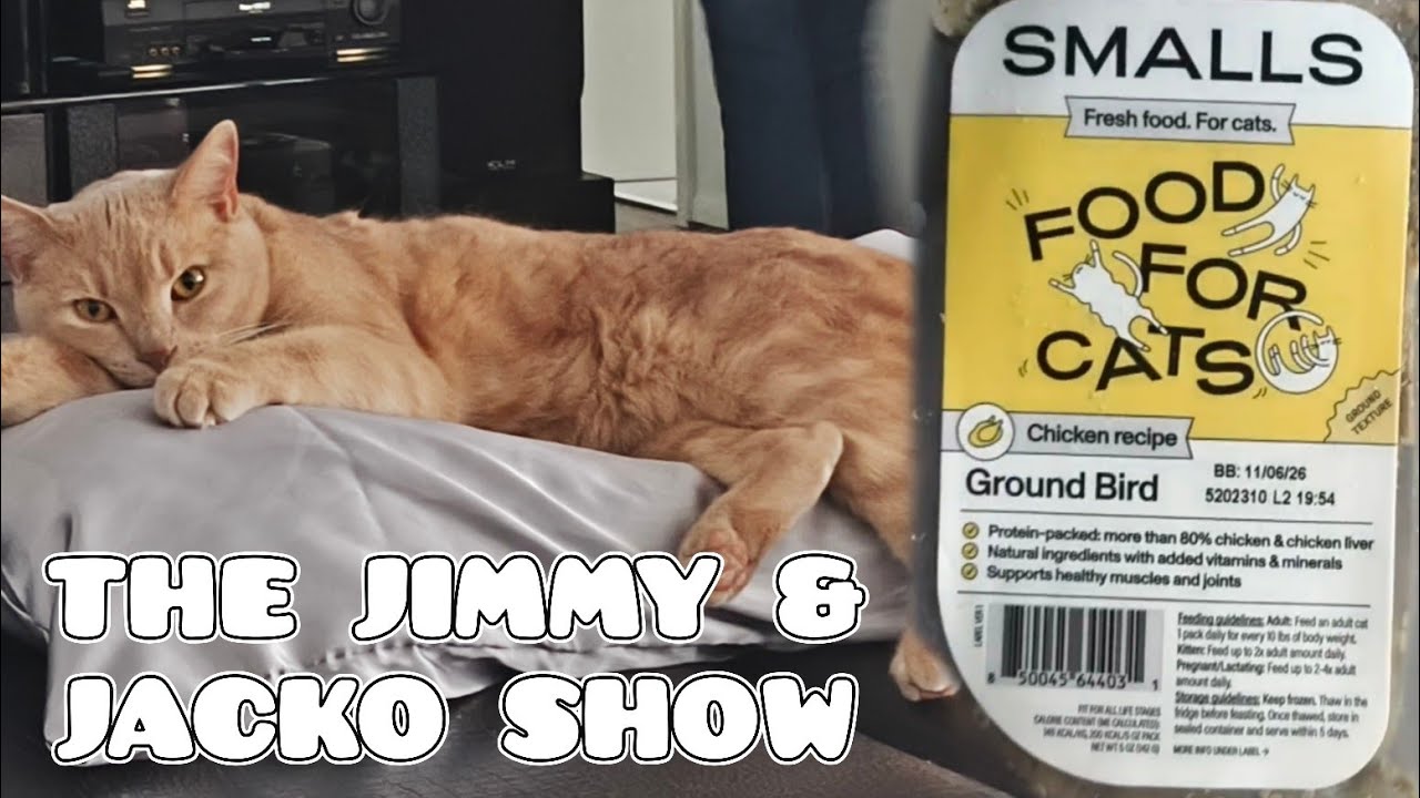 Food Fit For Feline's Finest | The Jimmy & Jacko Show (E2S2)