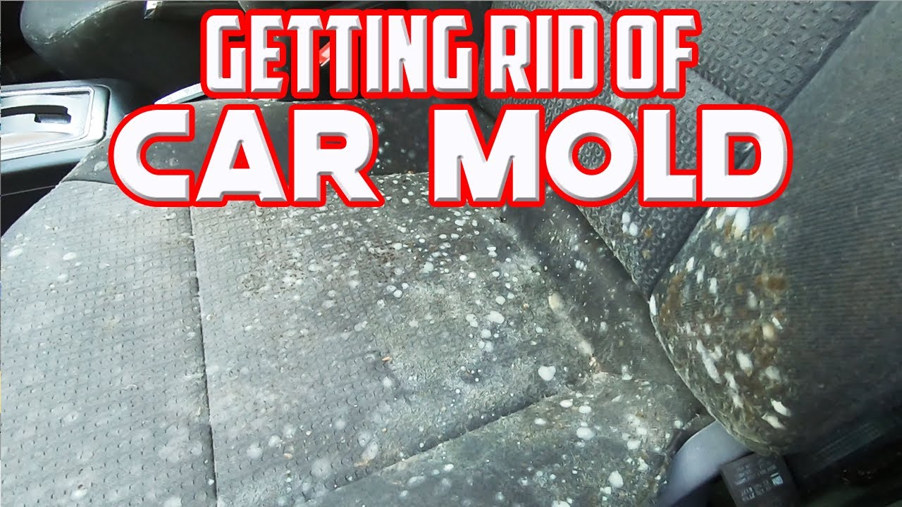 Getting Rid Of Terrible Mold In My Car With White Vinegar